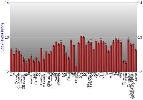 Expression graph
