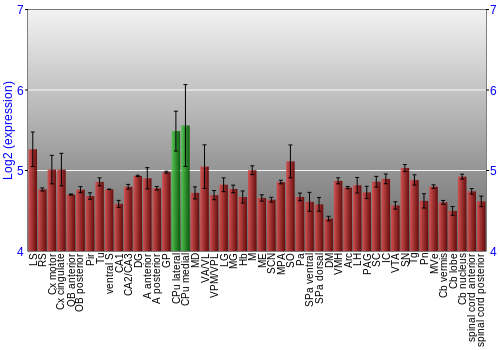 Multi-state expression graph