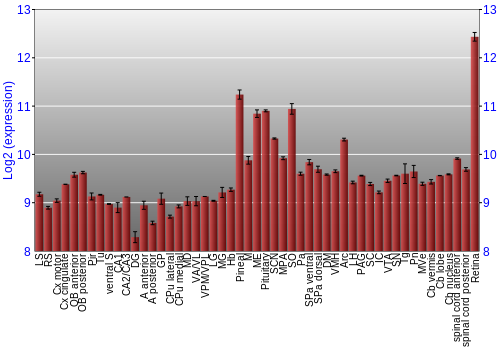 Expression graph