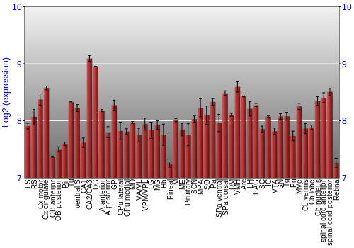 Expression graph