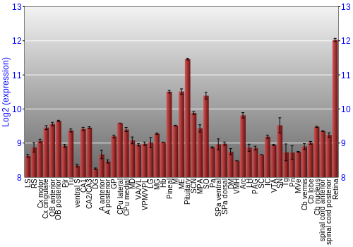 Expression graph