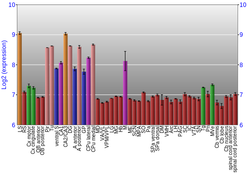 Multi-state expression graph
