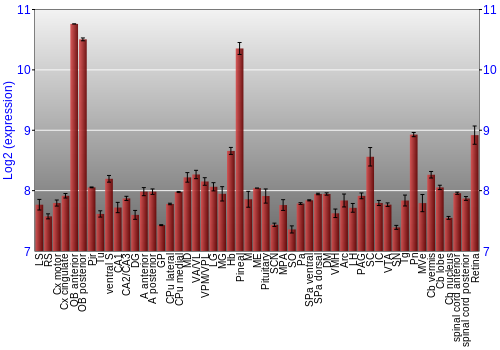 Expression graph