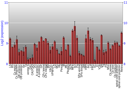 Expression graph