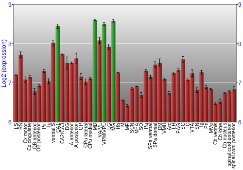 Multi-state expression graph