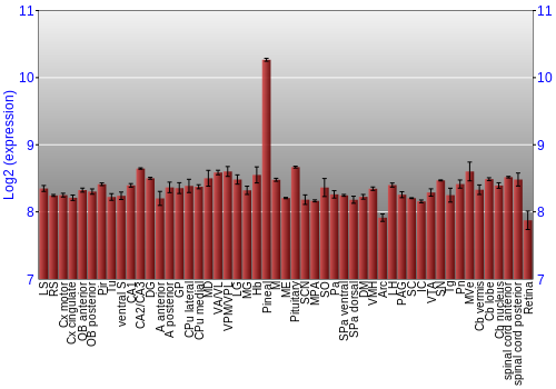 Expression graph
