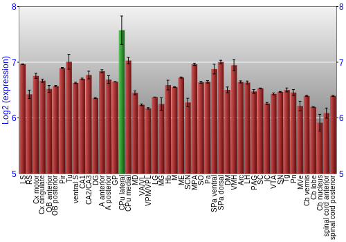 Multi-state expression graph