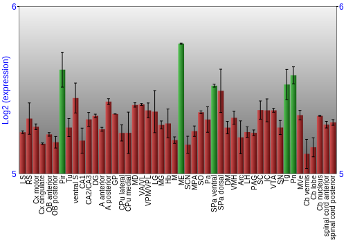 Multi-state expression graph