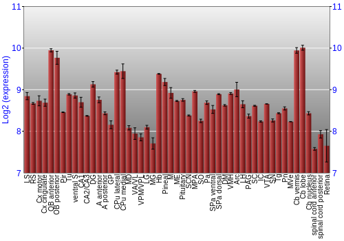 Expression graph