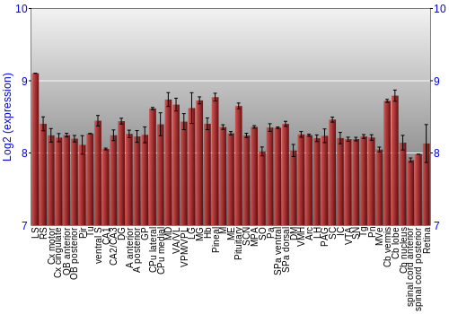 Expression graph