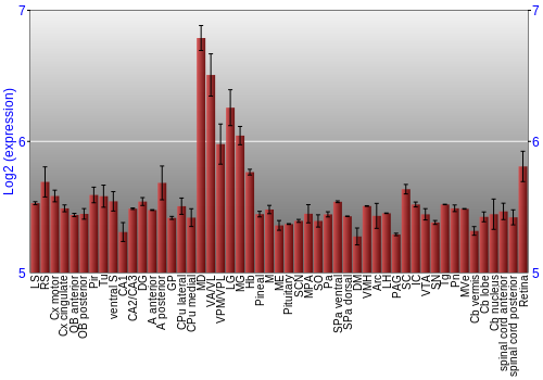 Expression graph
