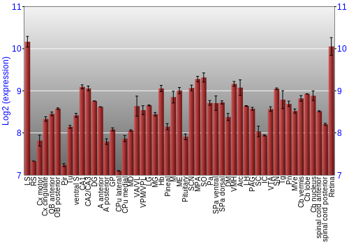 Expression graph