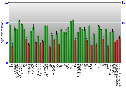Multi-state expression graph