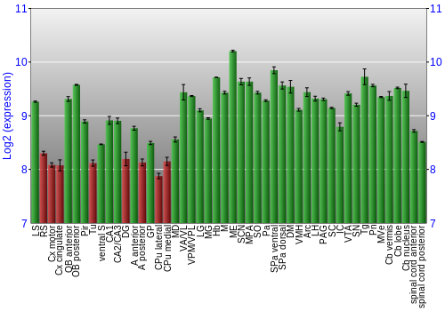 Multi-state expression graph