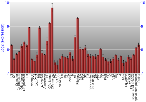 Expression graph