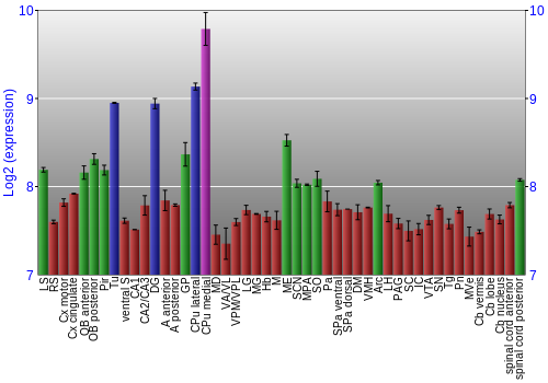 Multi-state expression graph