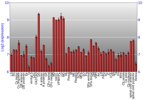 Expression graph