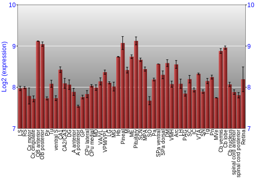 Expression graph