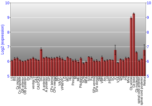 Expression graph
