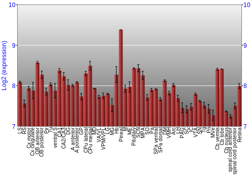 Expression graph