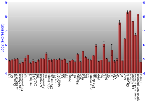 Expression graph