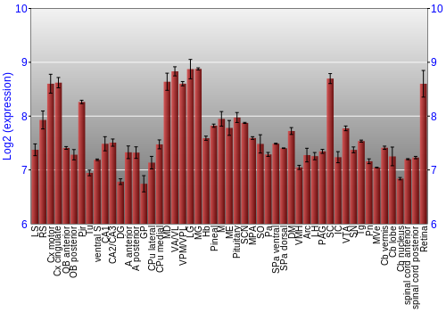 Expression graph