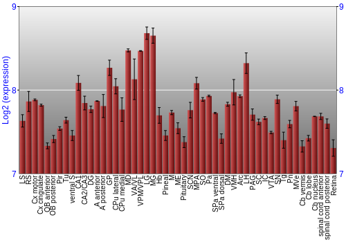 Expression graph