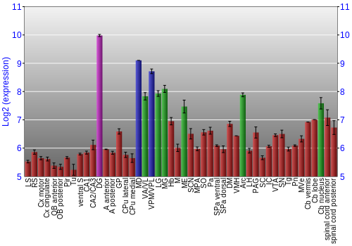 Multi-state expression graph