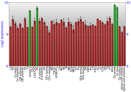 Multi-state expression graph