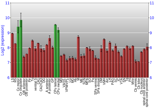 Multi-state expression graph