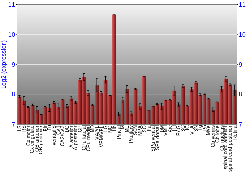 Expression graph
