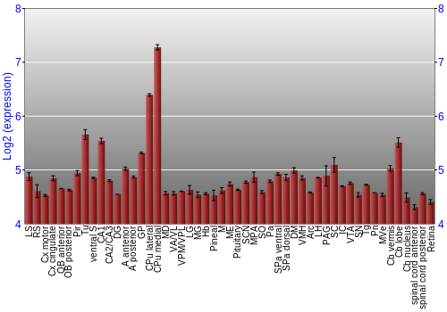 Expression graph
