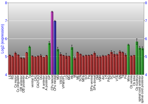 Multi-state expression graph