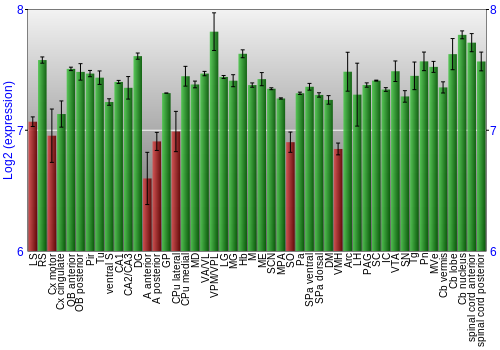 Multi-state expression graph