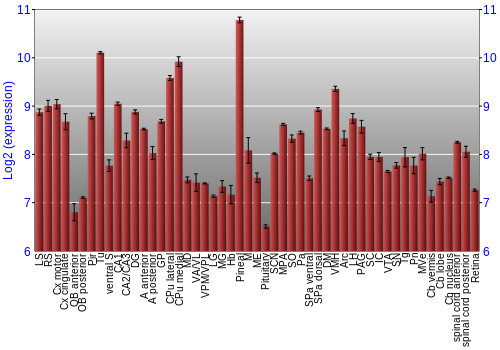 Expression graph