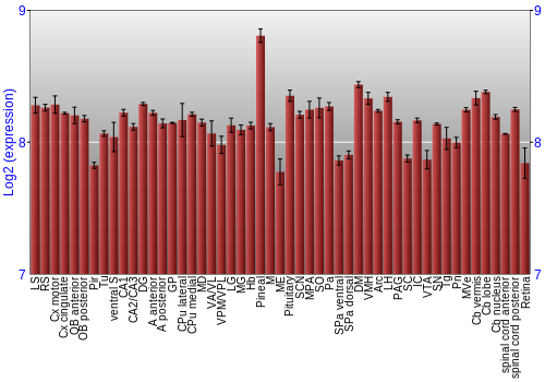 Expression graph
