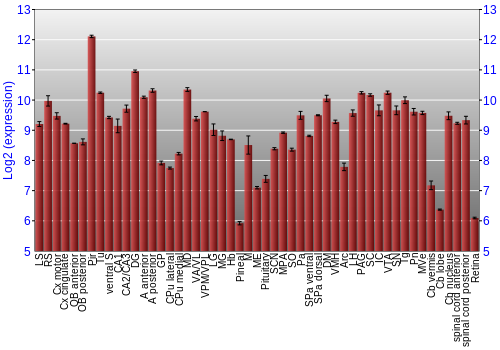 Expression graph