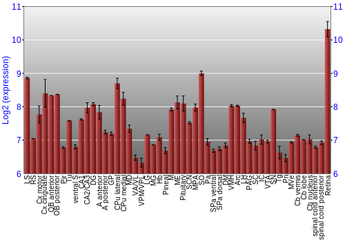Expression graph