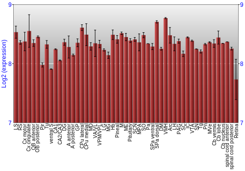 Expression graph