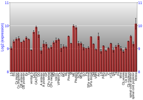 Expression graph