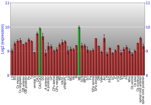 Multi-state expression graph