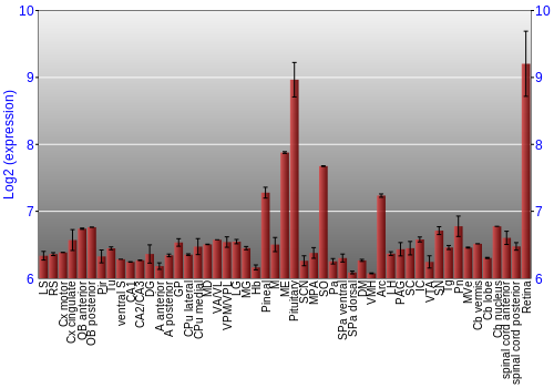 Expression graph