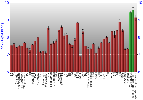 Multi-state expression graph