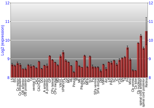 Expression graph
