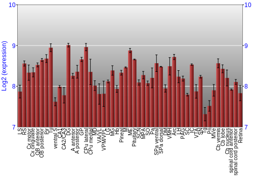 Expression graph