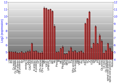 Expression graph