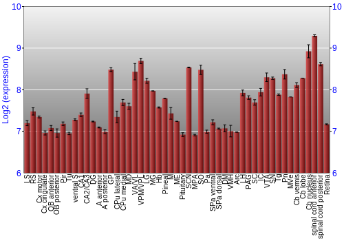 Expression graph