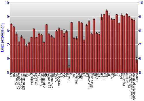 Expression graph