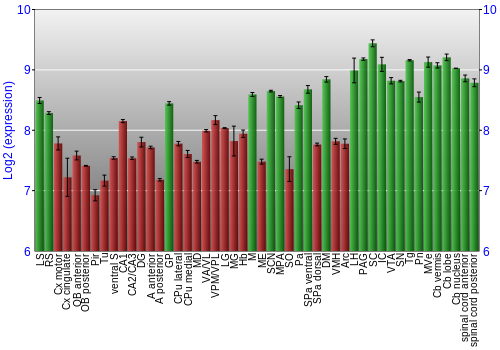 Multi-state expression graph