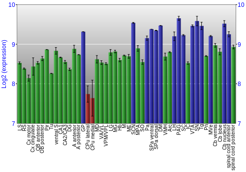 Multi-state expression graph